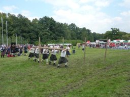 Machern 2011